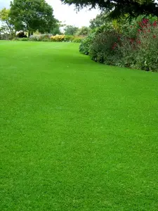 Best Grass Puns