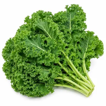Best Kale Puns