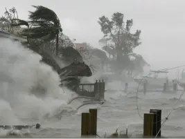 Most Searched Hurricane Jokes