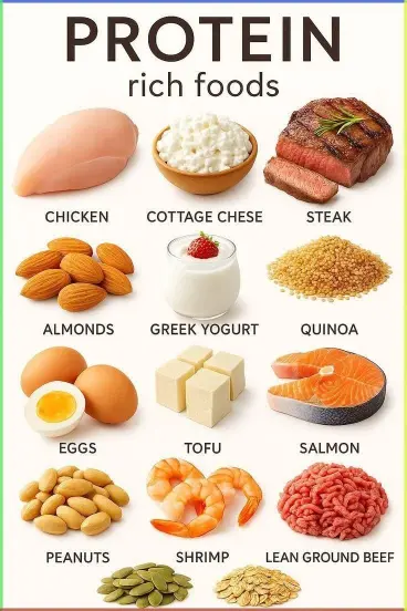 Searched Protein Puns