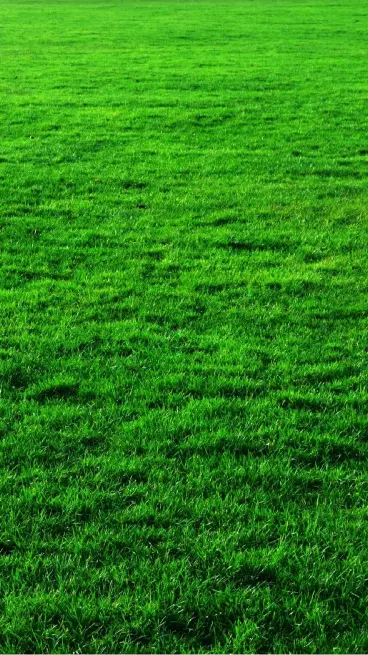 Seasonal Grass Puns