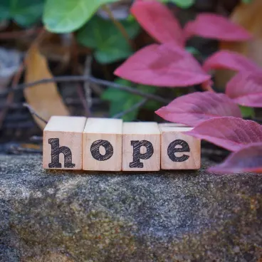 Seasonal Hope Puns