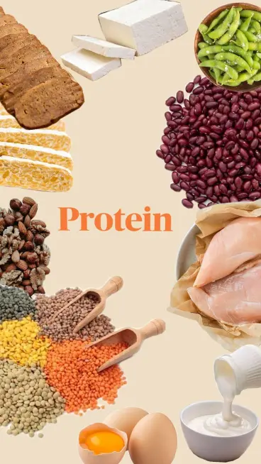 Seasonal Protein Puns
