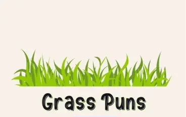 Trending Grass Puns